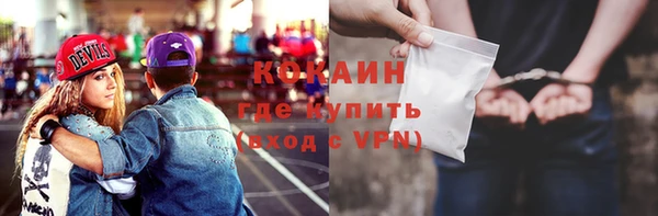 гашик Новозыбков