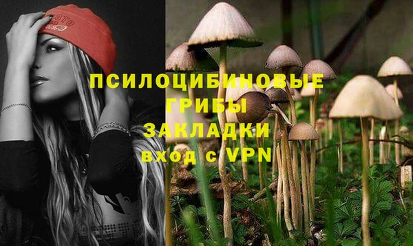 альфа пвп Нязепетровск