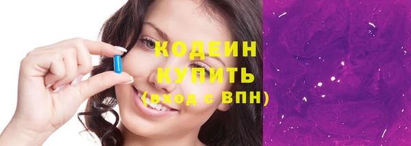 гашик Новозыбков