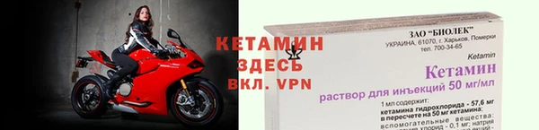 стафф Новодвинск