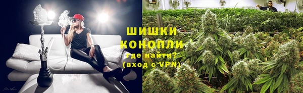 прущая мука Няндома