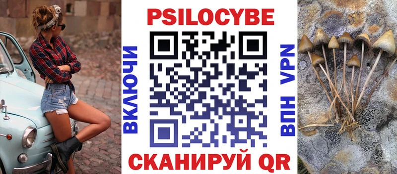 Псилоцибиновые грибы Psilocybe  закладки  Навашино 