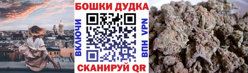 Бошки Шишки конопля  где можно купить наркотик  блэк спрут маркетплейс  Навашино 